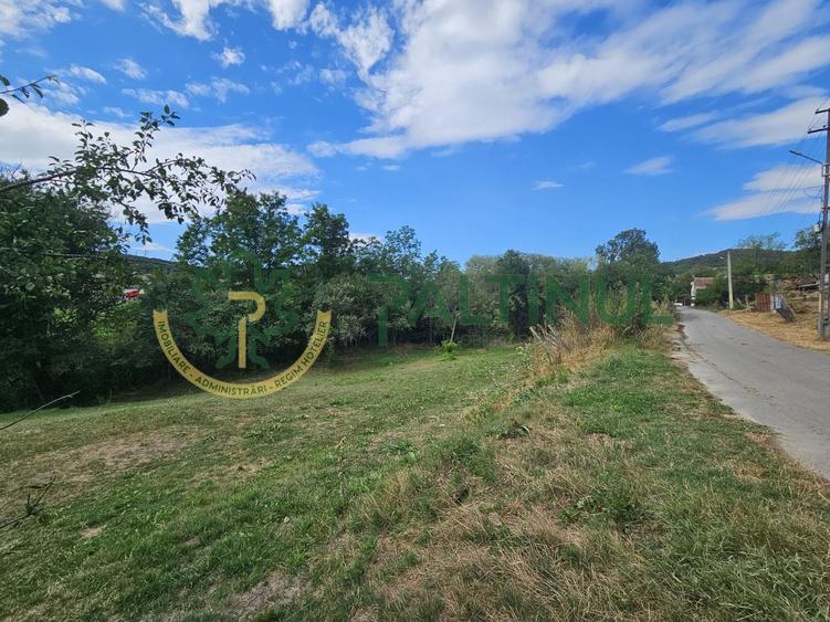 Teren agricol intravilan de 2617 mp, în Loamneș