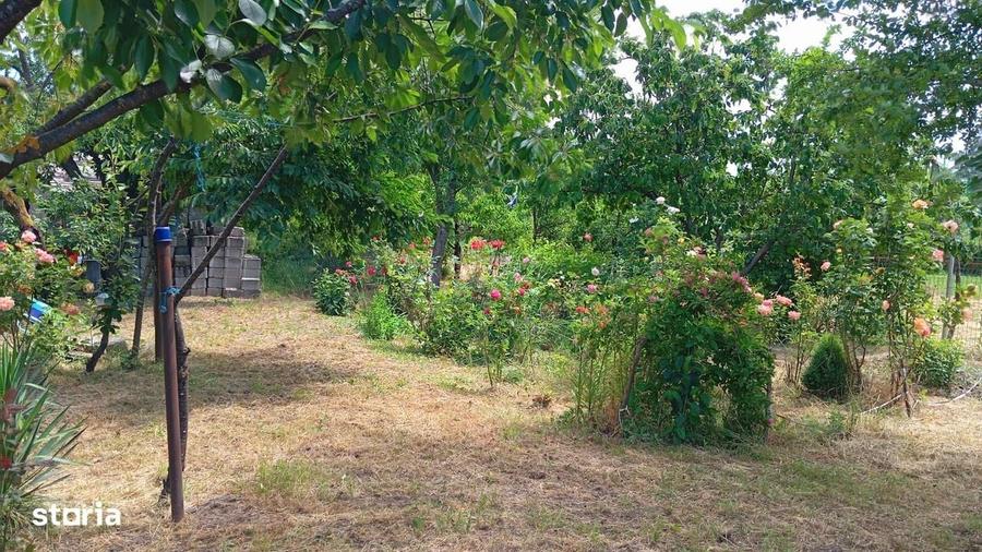 Casă cu 2 camere în Șirna