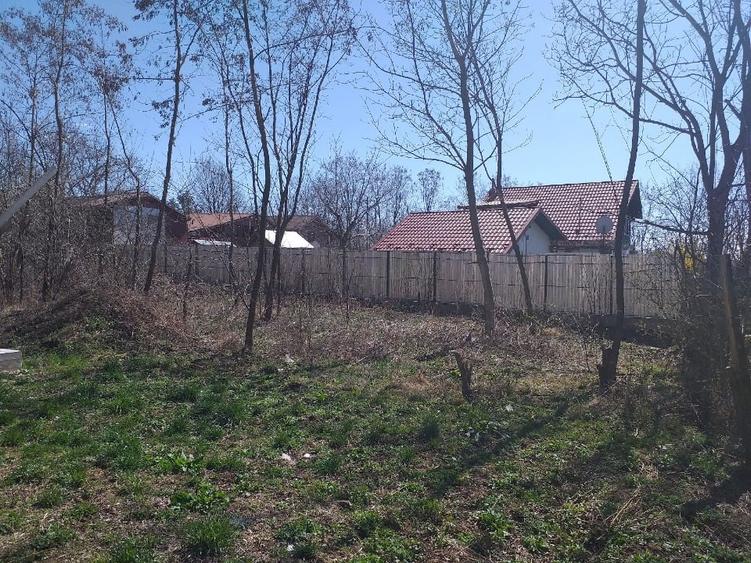 Teren Construcții intravilan de 650 mp, în Cornu de Sus (Cornu)