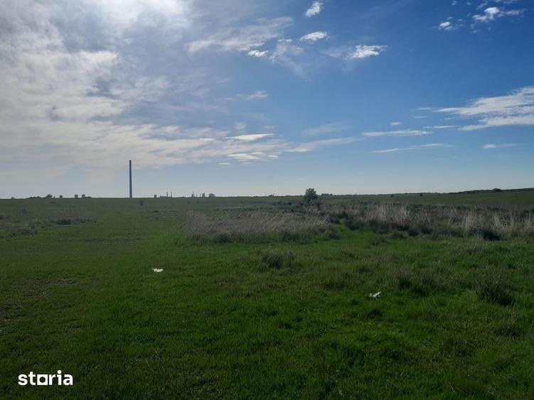 Teren de 30700 mp, în Albota
