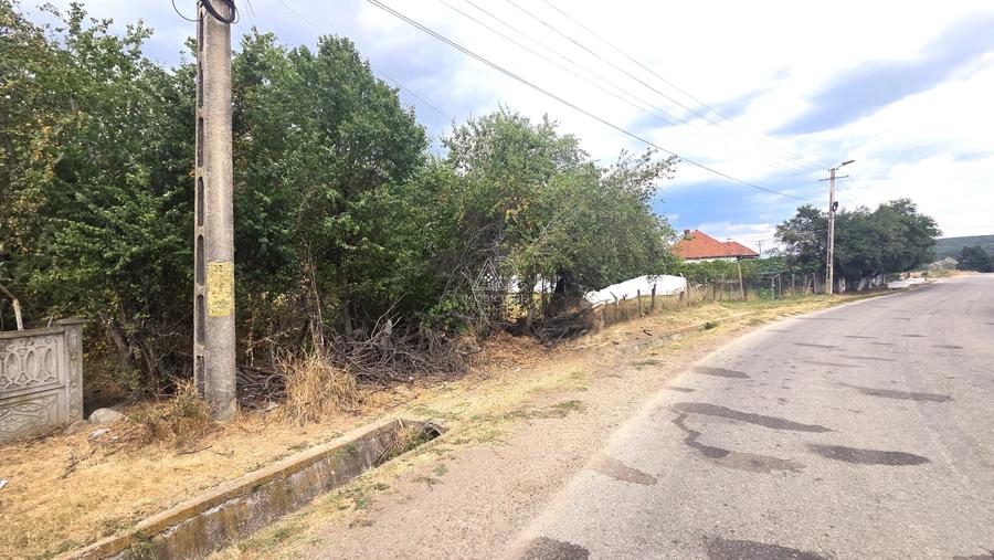 Teren Construcții intravilan de 4553 mp, în Polata
