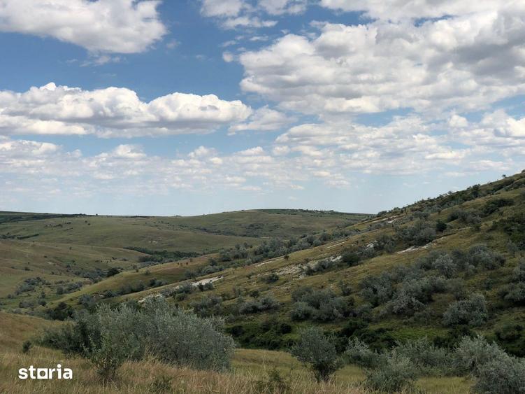 Teren de 500000 mp, în Gura Vadului