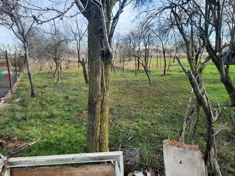 Teren în Mânăstioara