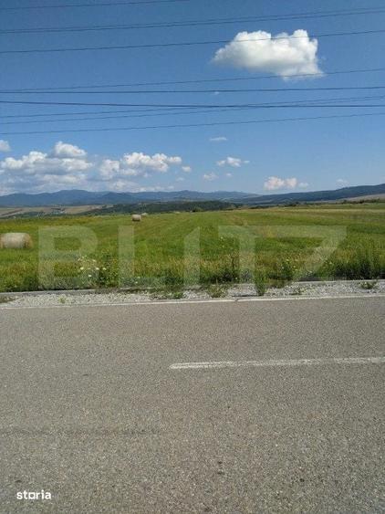 Teren extravilan, Livezile, 1.83 hectare - 4
