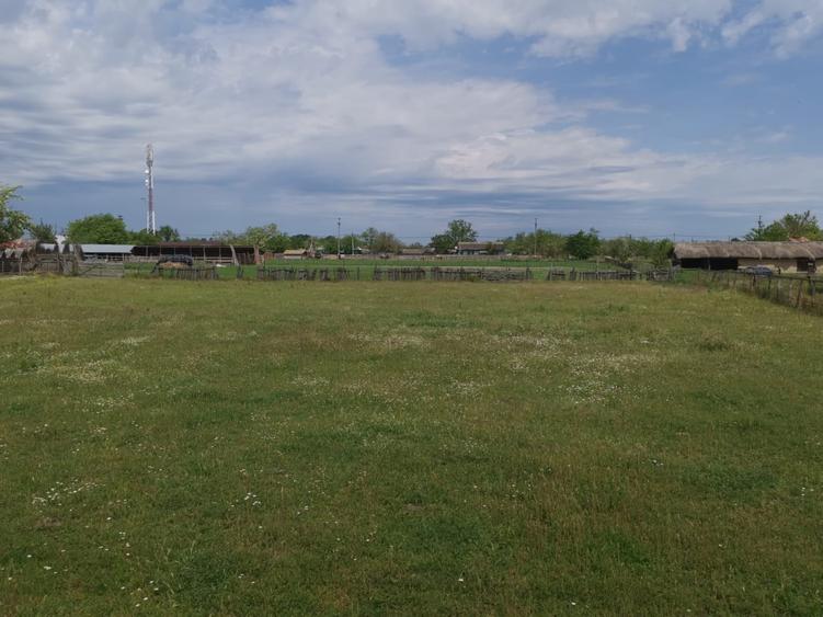 Teren intravilan de 2300 mp, în