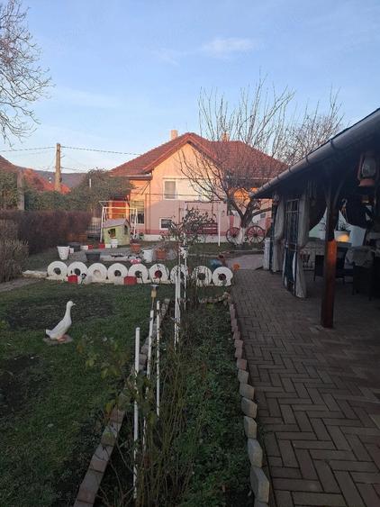 Casă cu 4 camere cu Teren 3000 Mp în Ghioroc