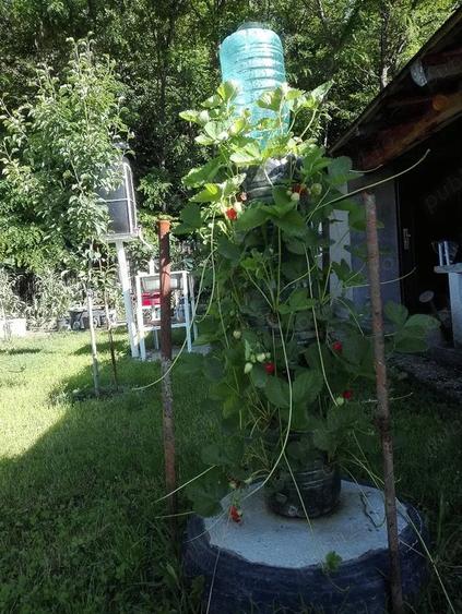 Casă cu 5 camere cu Teren 2100 Mp în Ordoreanu