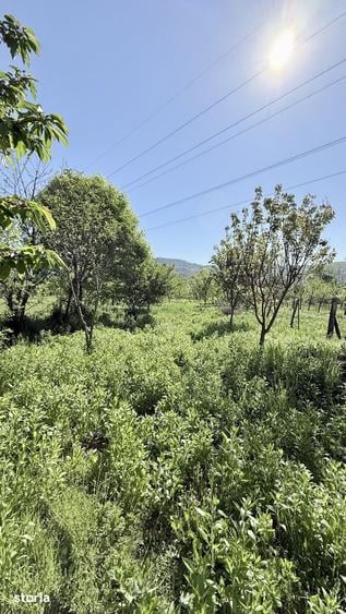 Casă cu 4 camere cu Teren 1668 Mp în Bujoreni