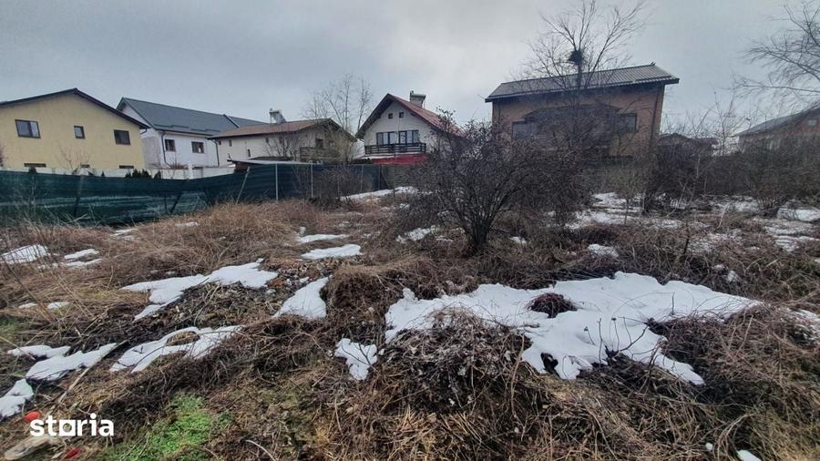 Teren 1000mp I De Vanzare I Cernica I Pantelimon - 4