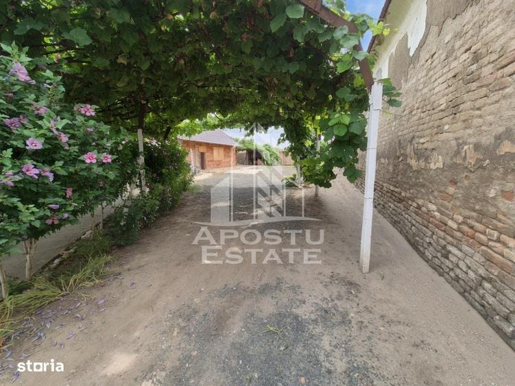 Se vinde casa in Teremia Mare, renovata, teren generos de 1.439 mp - 3