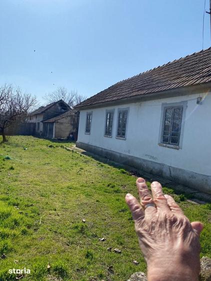 Casa ?i teren in sat Bistre?, Comuna Bistre? - 3