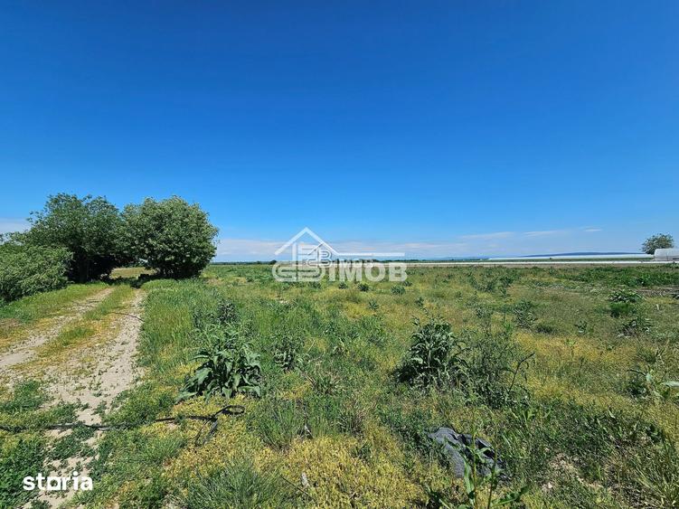 Teren de 10900 mp, în Băleni
