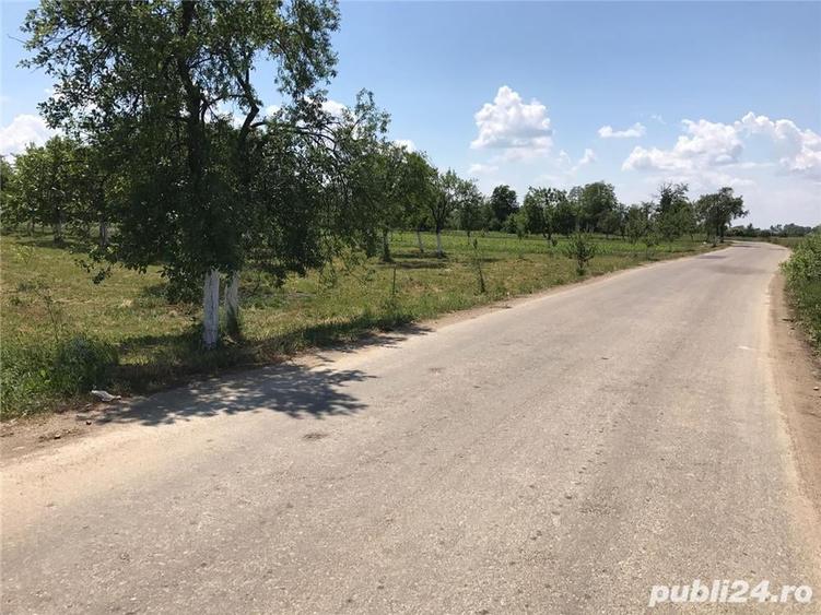 Teren de 3000 mp, în Margina
