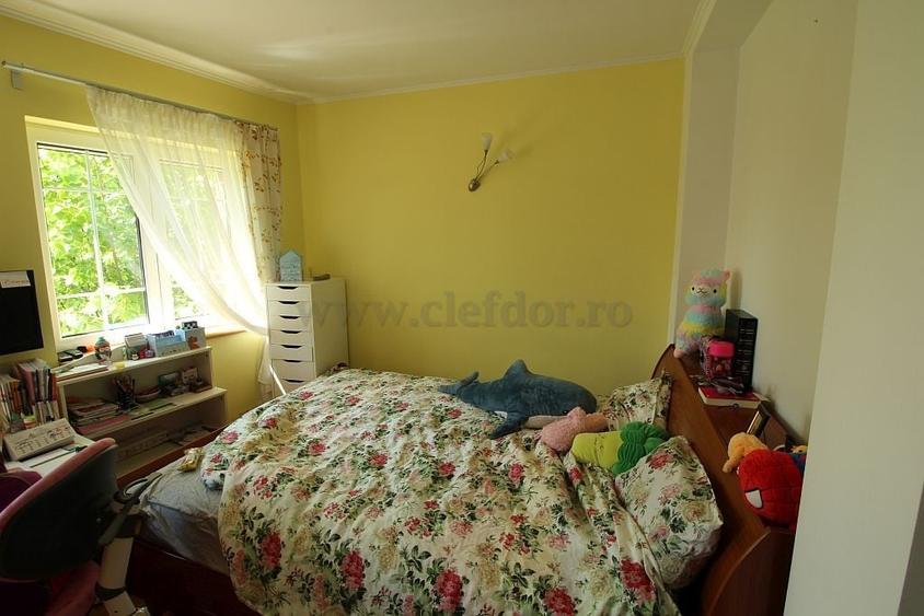 Casă individuală cu 9 camere cu Piscina în Iancu Nicolae