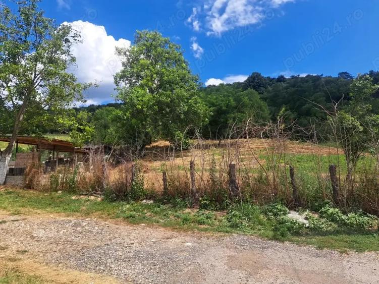 Teren de 3500 mp, în Viforâta