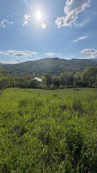 Teren de 1200 mp, în Valea Doftanei