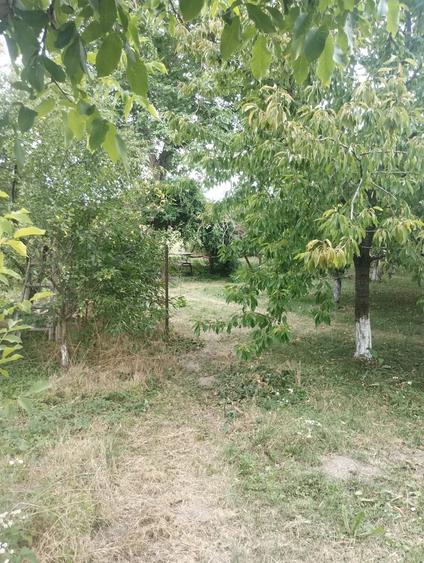 Casă cu Teren 3008 Mp în Giungi