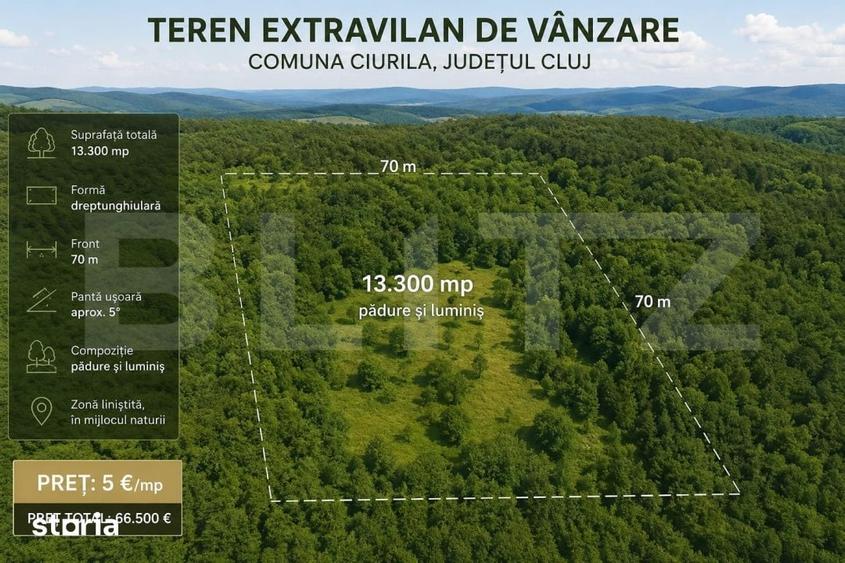 Teren extravilan 13.300 mp in Ciurila | Forma dreptunghiulara | 5 / - 1