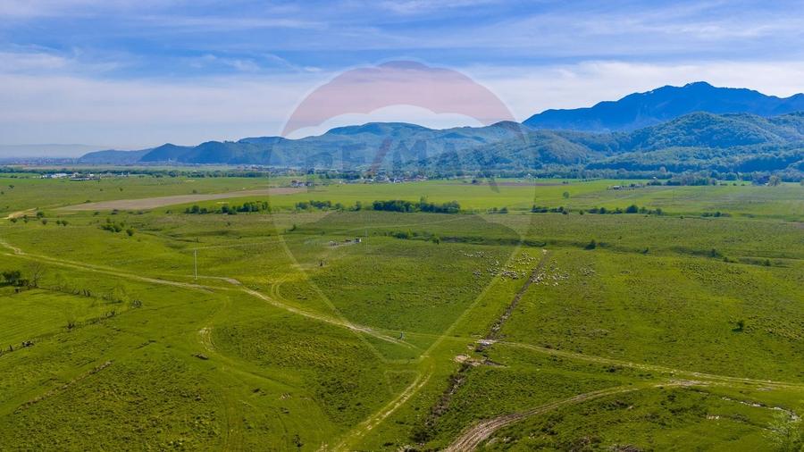 Teren agricol extravilan de 10000 mp, în Glăjărie