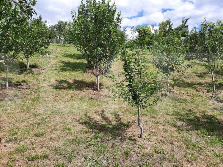 Casă individuală cu 3 camere cu Garaj în Dâmbul Rotund