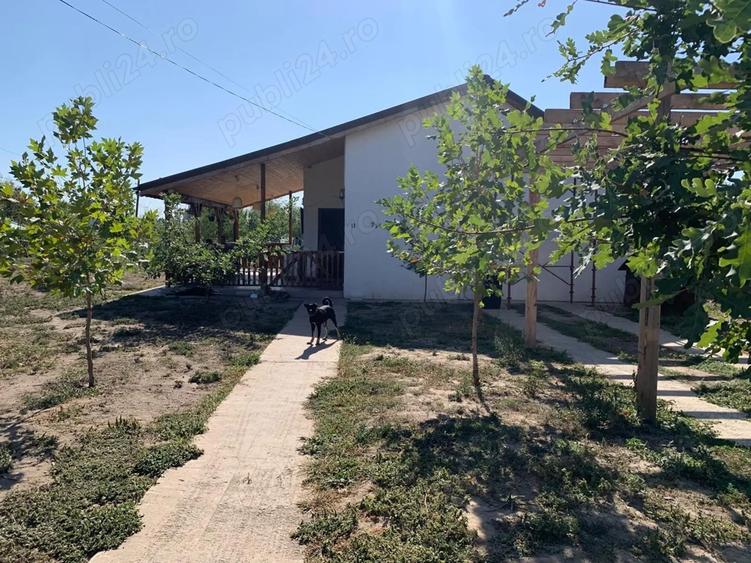 Casă cu 2 camere cu Teren 1250 Mp în Cămineasca