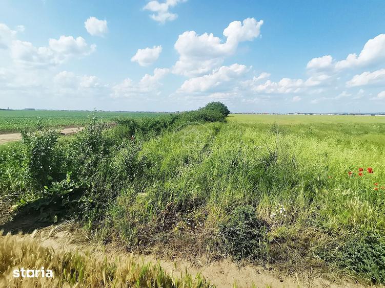 Teren intravilan de vanzare in Santandrei, Bihor - 1