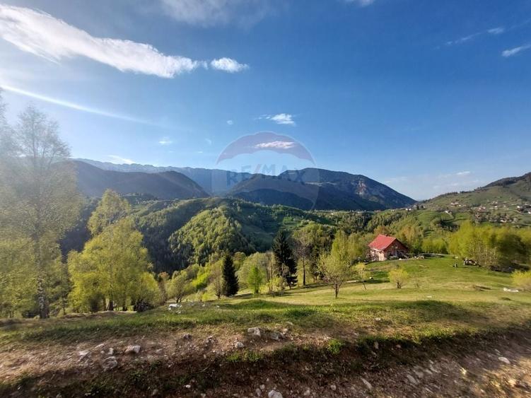 Teren Construcții intravilan de 1798 mp, în Peștera