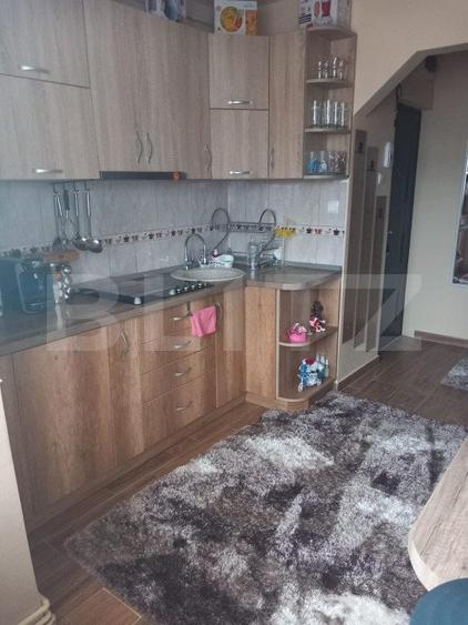 Apartament cu 2 camere semidecomandat, mobilat în Careiului