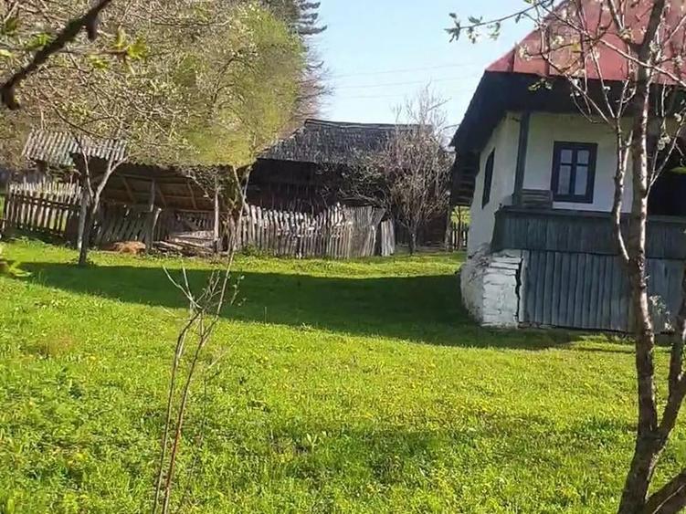 Casă individuală cu 2 camere cu Teren 4000 Mp în Arefu