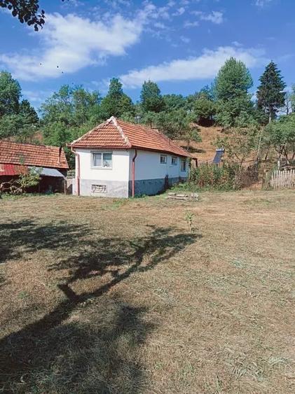 Casa ?i teren de vanzare Paro?eni Hunedoara - 3