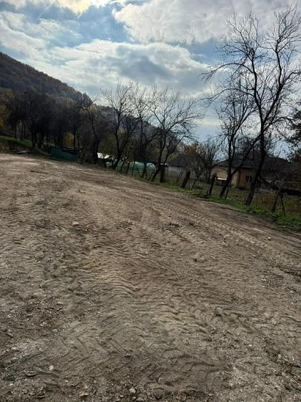 Teren de 8000 mp, în Păuliș