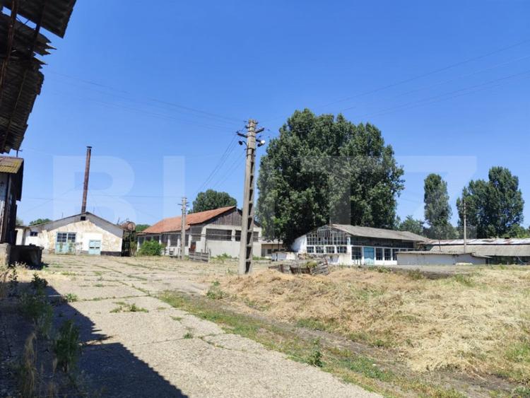 Teren de 32000 mp, în Răducăneni
