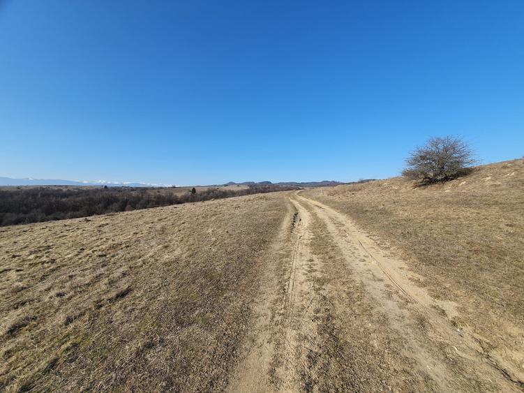 Teren Construcții intravilan de 500 mp, în Vlădeni