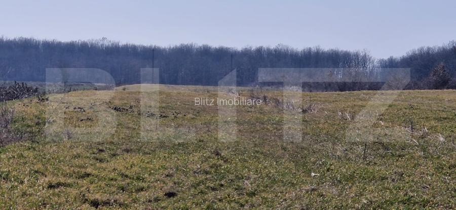 Teren intravilan, 10000 mp, zona Robanesti