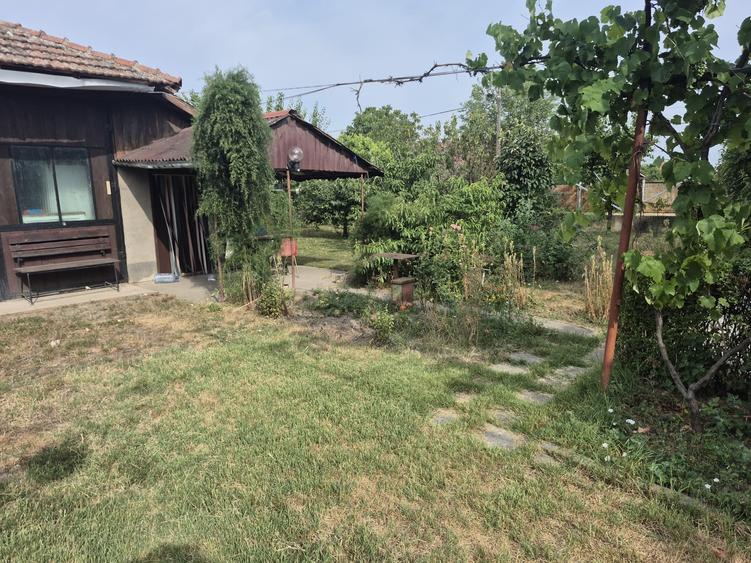 Casă individuală cu 7 camere cu Canalizare în Becicherecu Mic