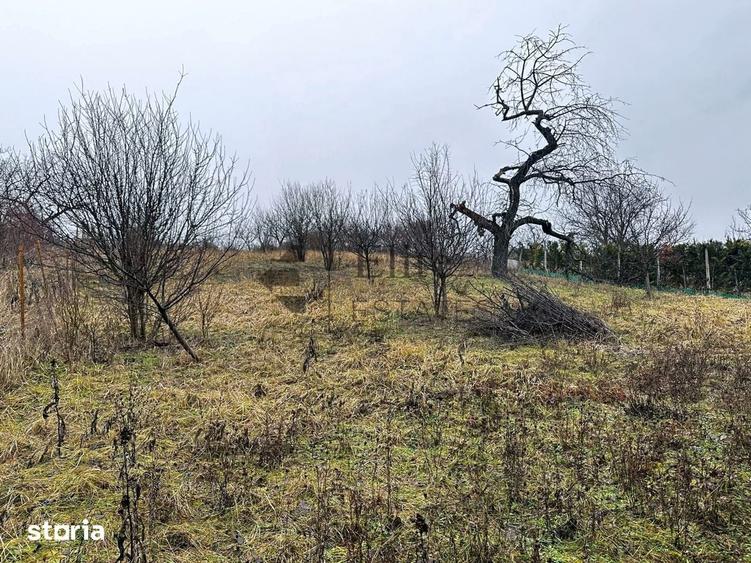 Teren de 1765 mp, în Orașul Nou