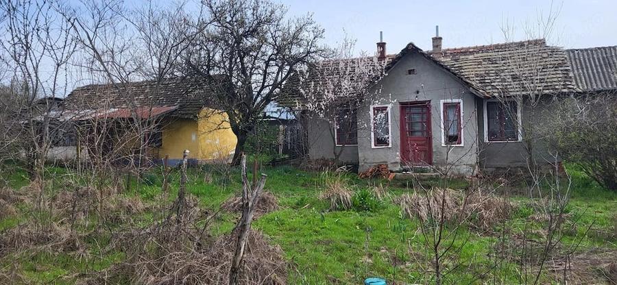 Casă cu Teren 2000 Mp în Plenița