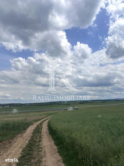 Teren de 4652 mp, în Oșorhei