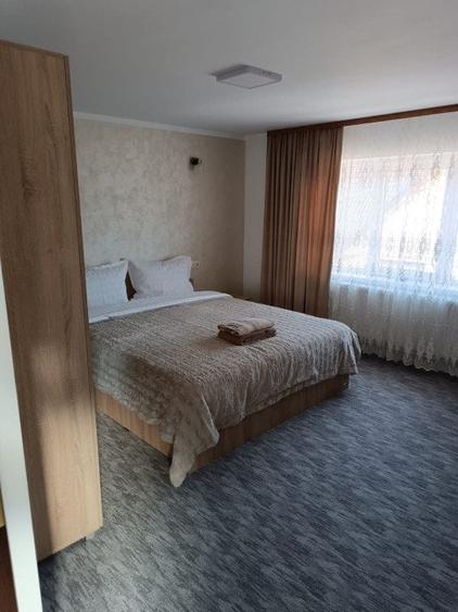 Casa individuala, teren 5200mp, oportunitate de investitie, Brodina - 6