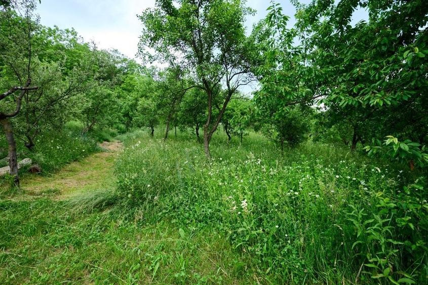 Casă individuală cu 3 camere cu Canalizare în Sud-Vest
