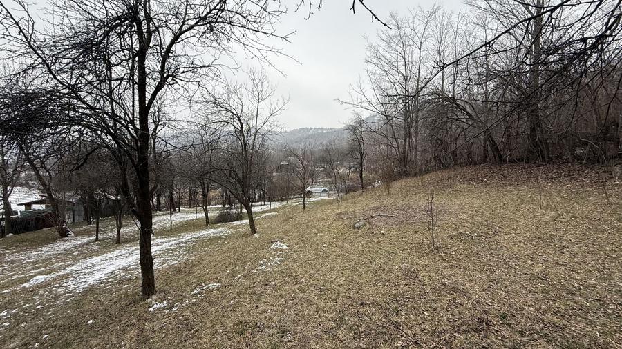 Teren Construcții intravilan de 4652 mp, în Lunca Mare