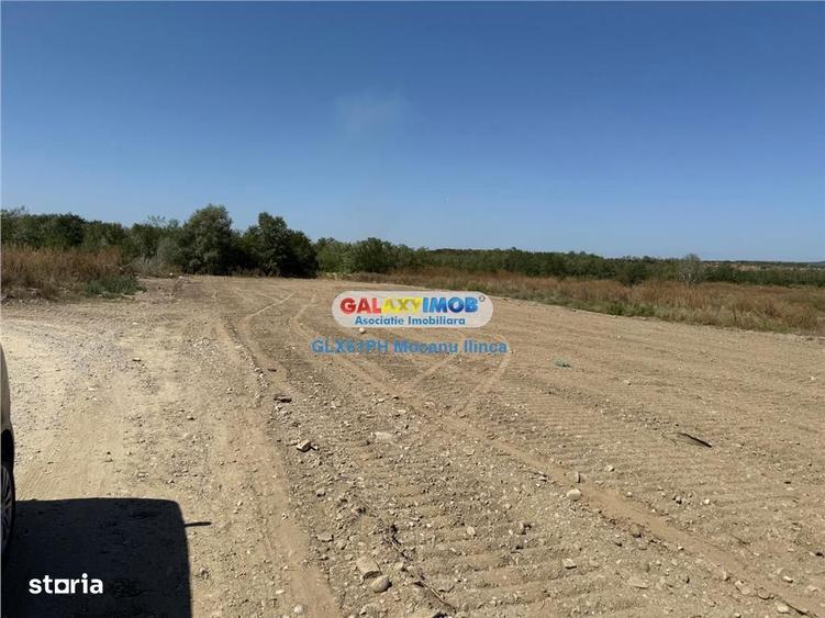 Teren de 2960 mp, în Lipănești