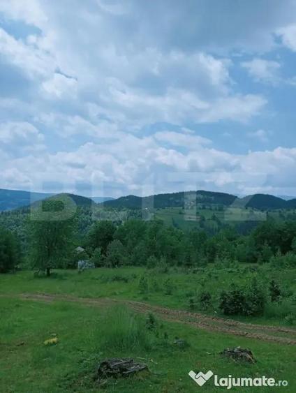 Teren în Scărișoara