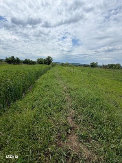 Teren de 6000 mp, în Brazda lui Novac