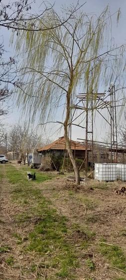 Teren în Gheorghe Lazăr