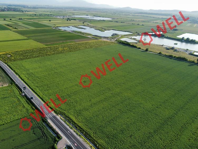 Teren agricol extravilan de 45000 mp, în Chichiș