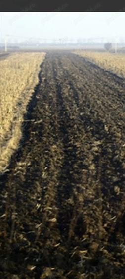 Teren de 10000 mp, în Valea Nucarilor