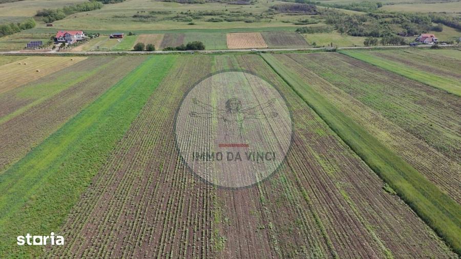 Teren de 10670 mp, în Borșa