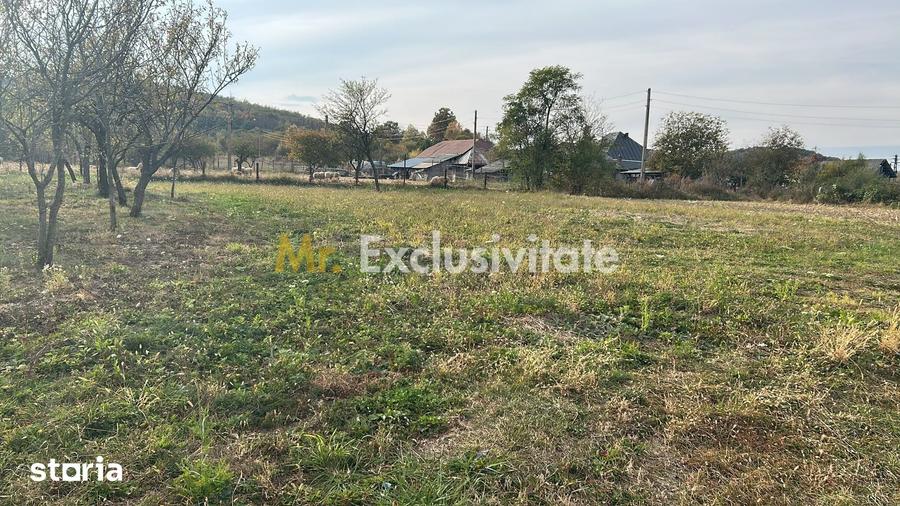 Teren de 1135 mp, în Merișani