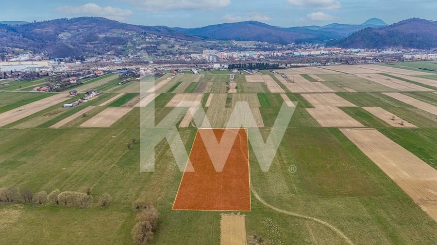 Teren agricol intravilan de 8557 mp, în Zărnești